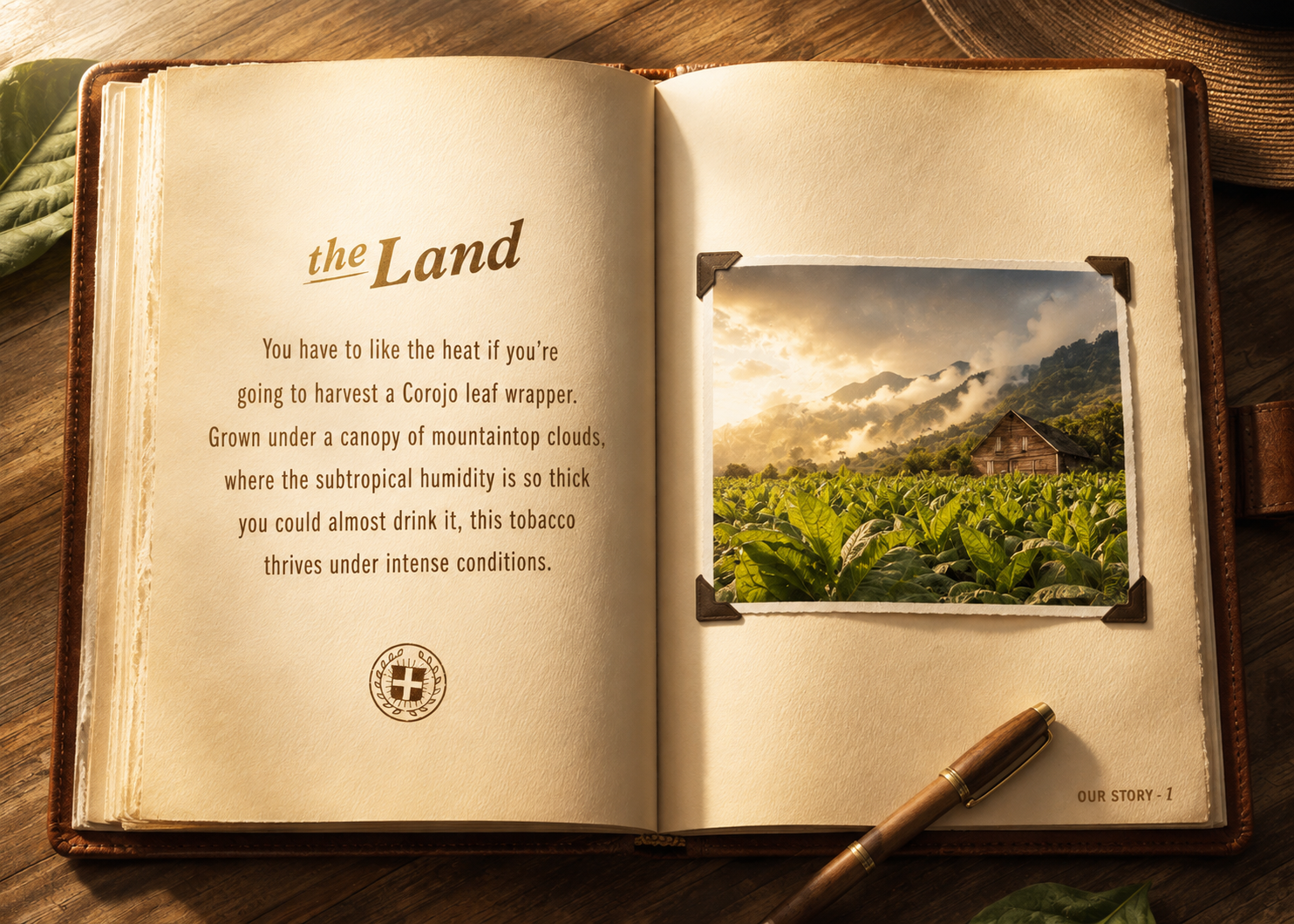The Land