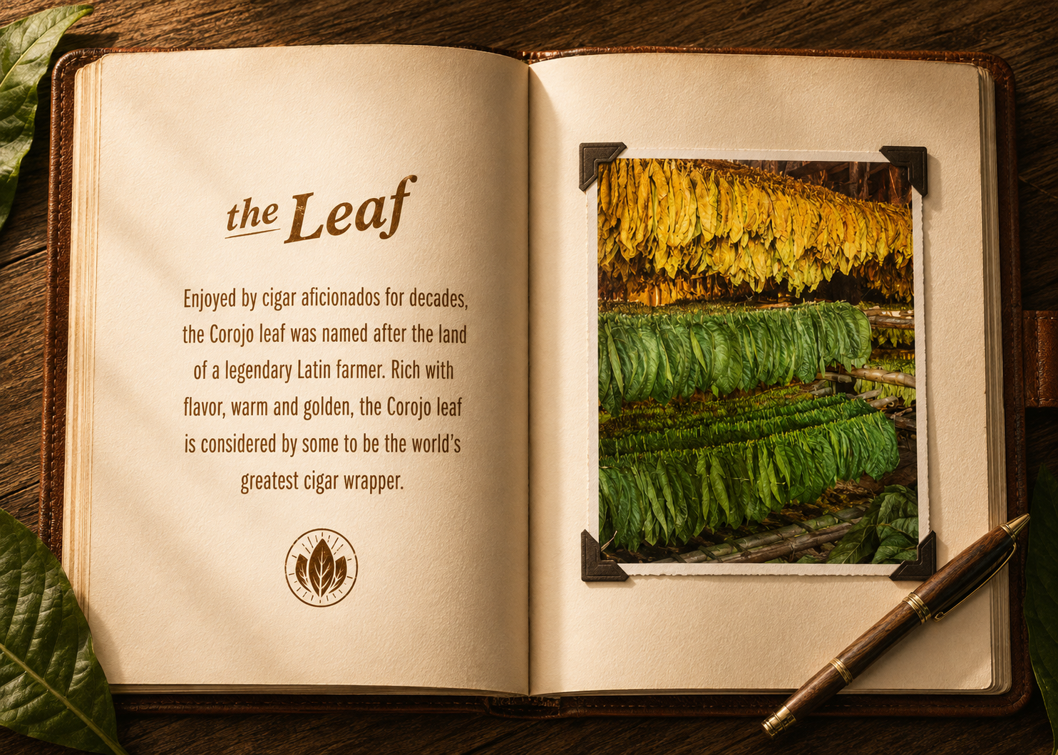 The Leaf