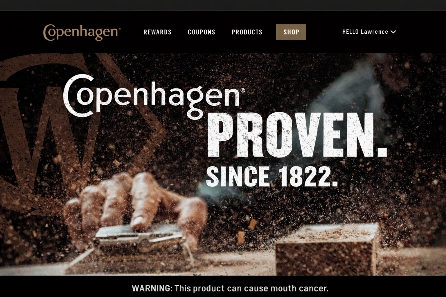 Copenhagen website