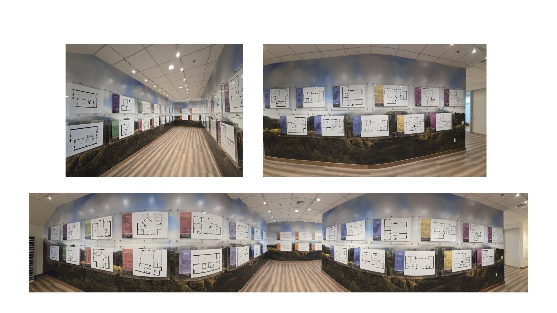 Livelle sales office — gallery wall installation
