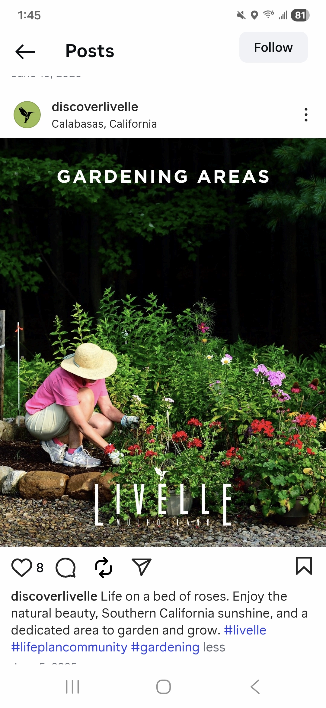 Livelle social