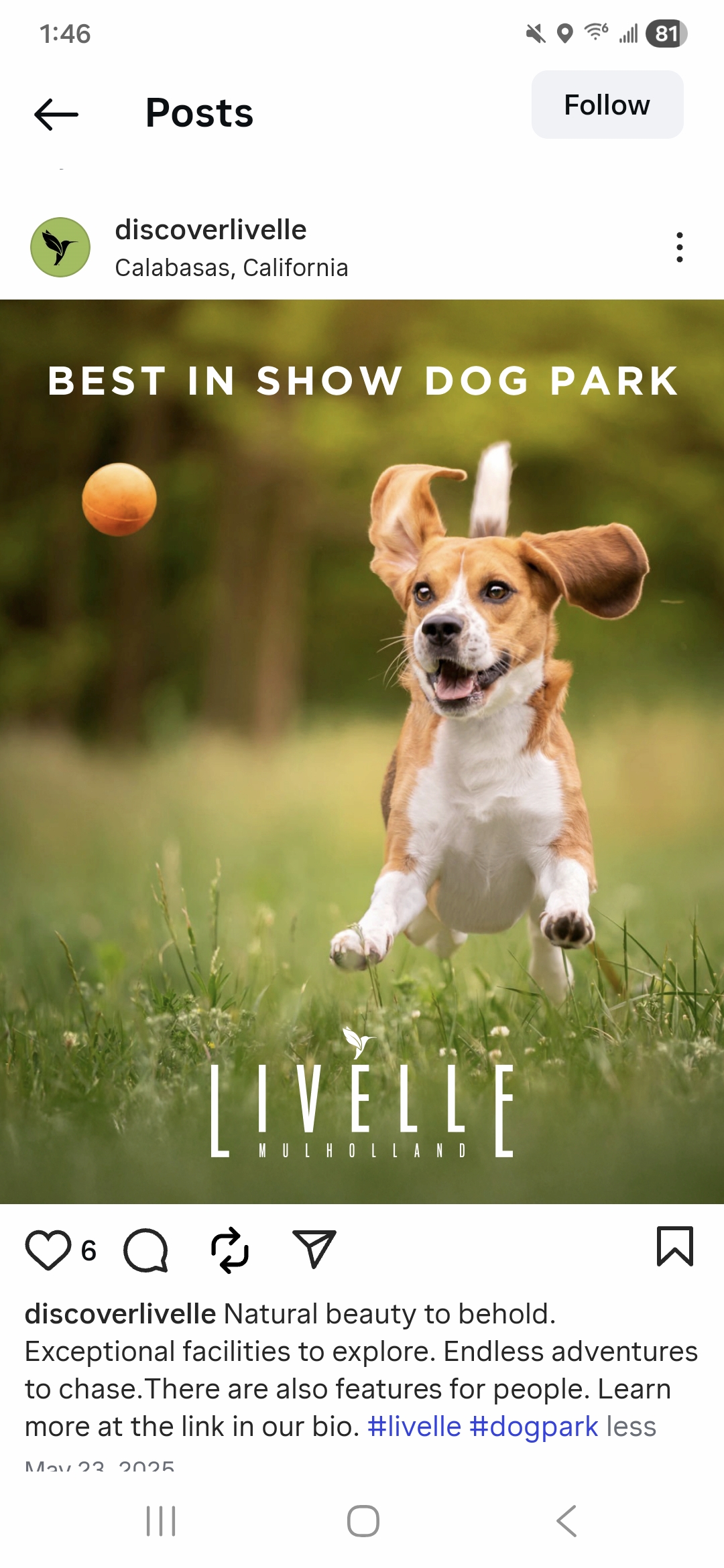 Livelle social