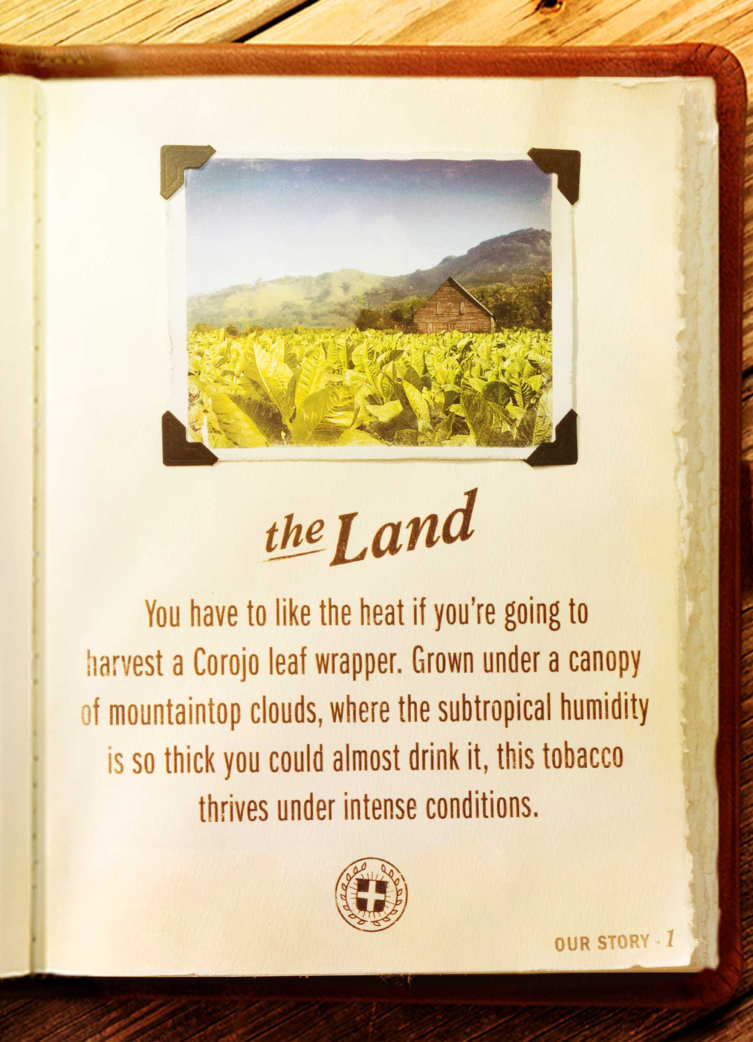 The Land