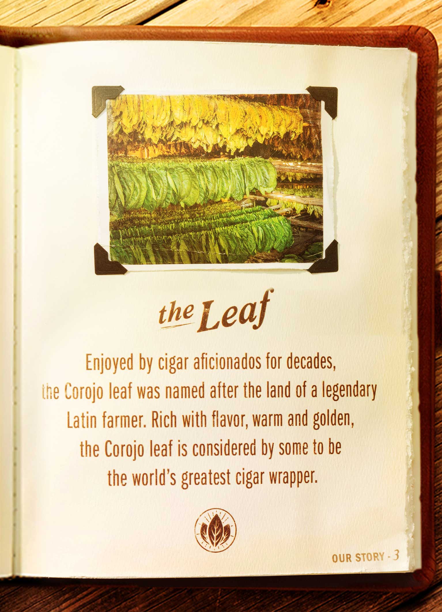 The Leaf